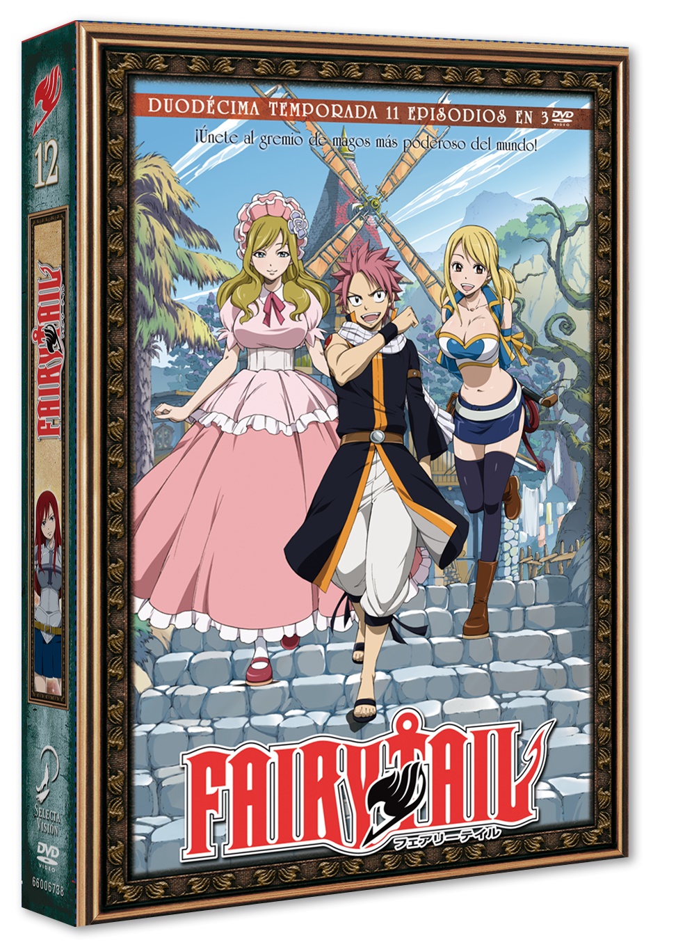 Fairy Tail Vol. 12