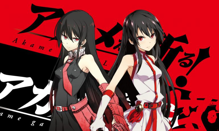 Akame ga Kill!, Netflix