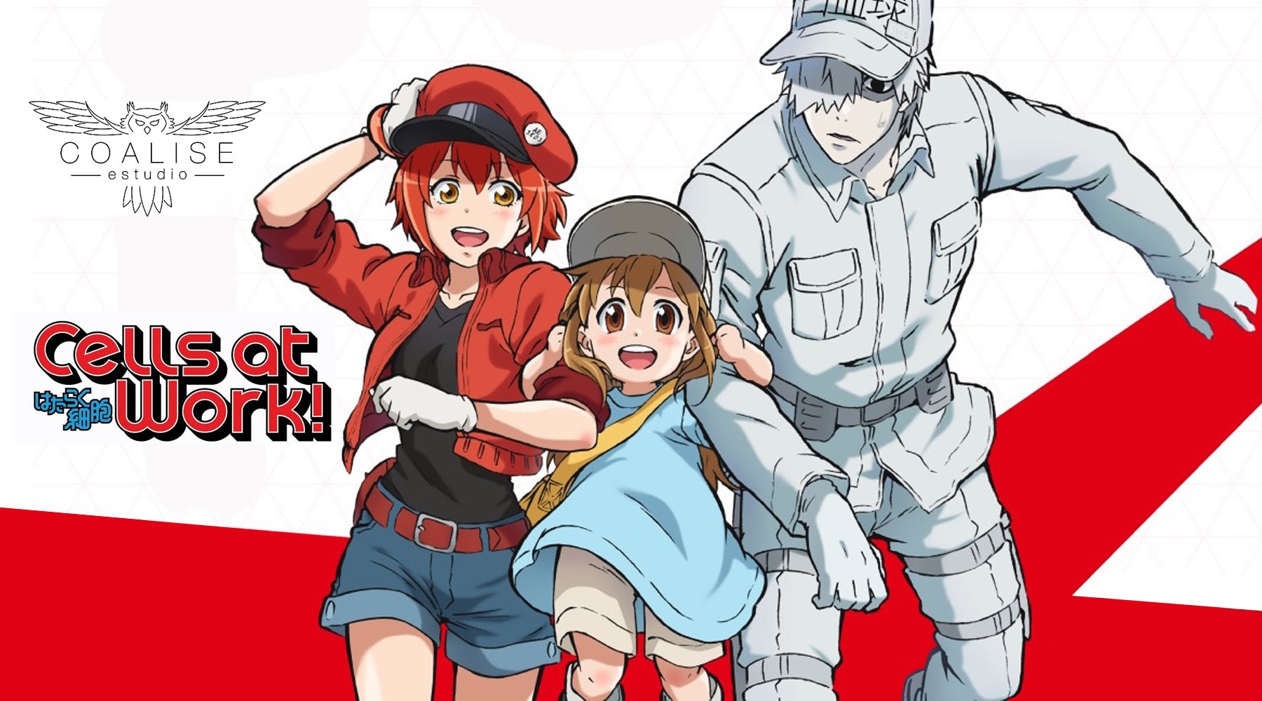 Cells at Work! Complete Blu-ray Set - Tokyo Otaku Mode (TOM)