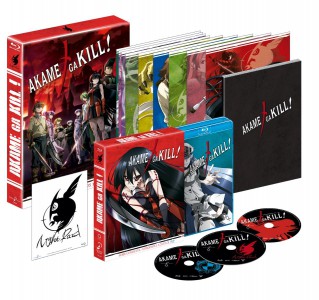 Akame ga Kill!, Edición Coleccionistas A4